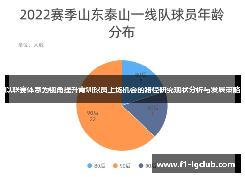 以联赛体系为视角提升青训球员上场机会的路径研究现状分析与发展策略